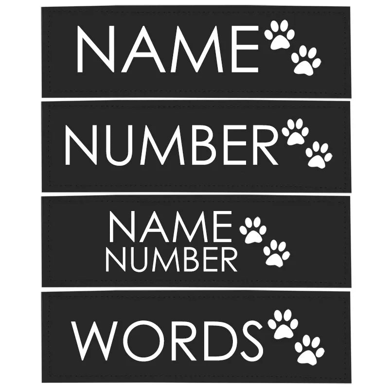 Etiqueta Colar Pet Fluorescente ID Nome Personalizada para Gato DIY 2 Unidades.