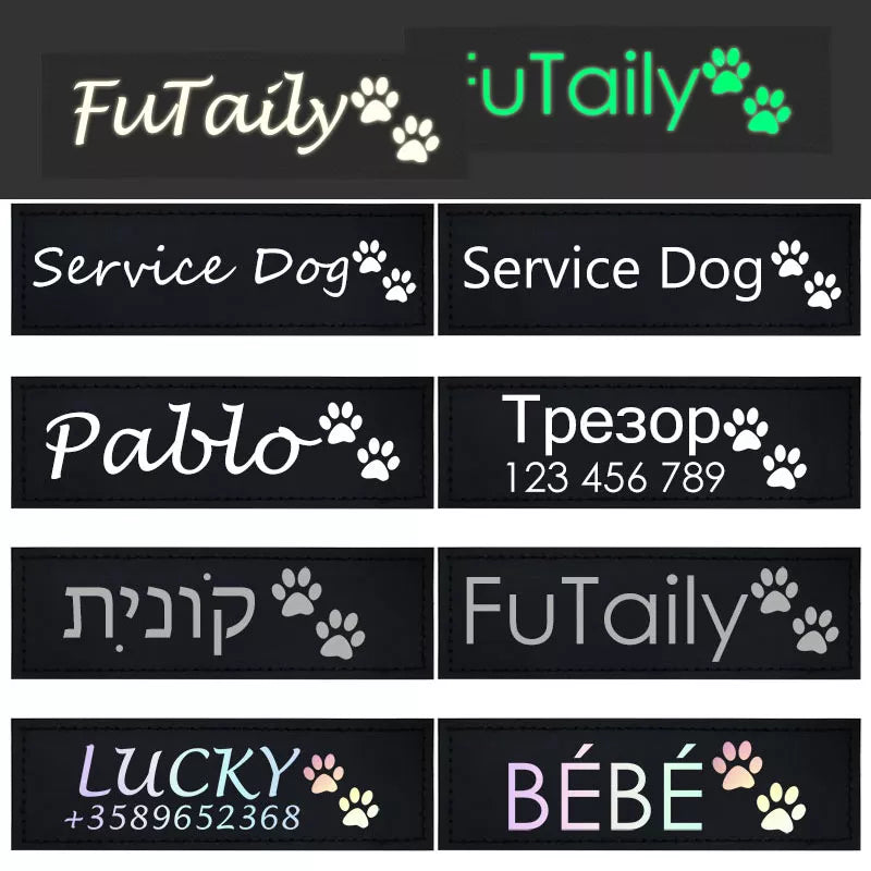 Etiqueta Colar Pet Fluorescente ID Nome Personalizada para Gato DIY 2 Unidades.