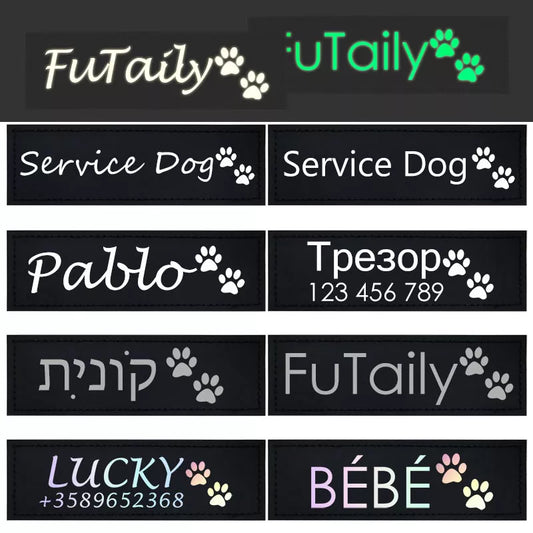 Etiqueta Colar Pet Fluorescente ID Nome Personalizada para Gato DIY 2 Unidades.