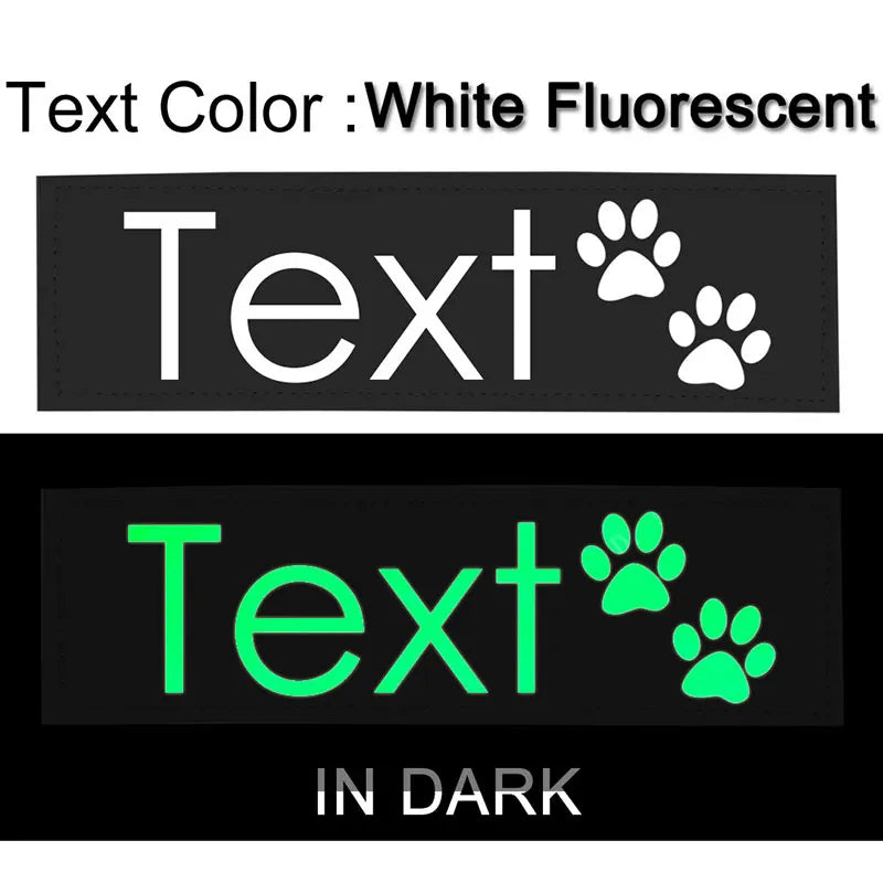 Etiqueta Colar Pet Fluorescente ID Nome Personalizada para Gato DIY 2 Unidades.